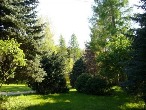 Domek Letniskowy Rzeszów