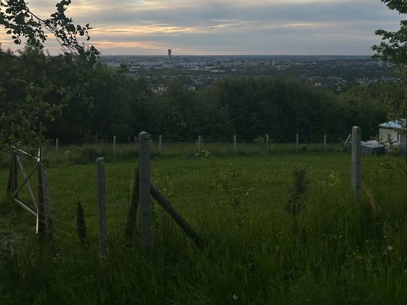 Widok ze wzgórza na panoramę Rzeszowa: zielona łąka z ogrodzeniem, drzewa, a na horyzoncie całe miasto pod błękitnym niebem