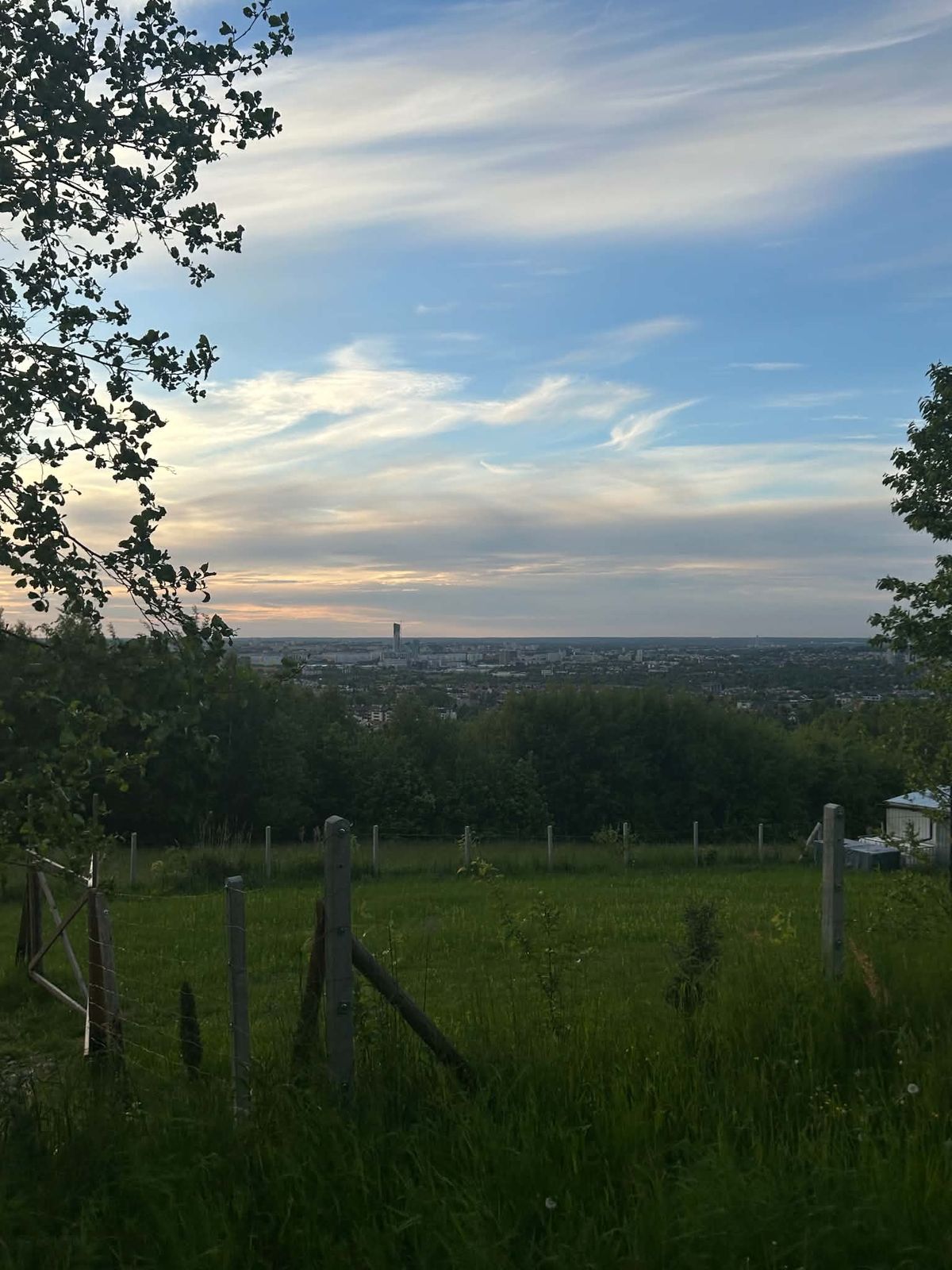 Widok ze wzgórza na panoramę Rzeszowa: zielona łąka z ogrodzeniem, drzewa, a na horyzoncie całe miasto pod błękitnym niebem