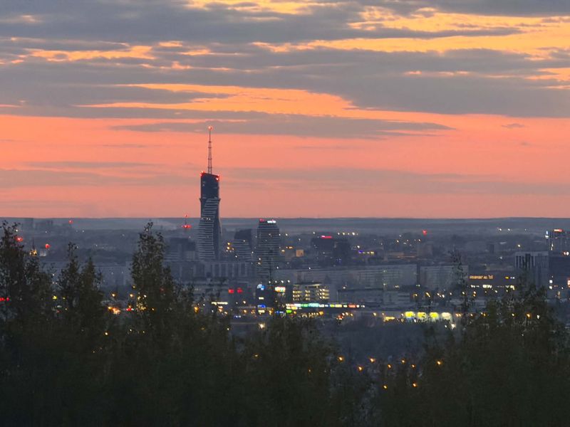 Zachód słońca nad Rzeszowem z punktu widokowego: rozświetlone miasto, wysoki wieżowiec i różowe niebo, na pierwszym planie drzewa